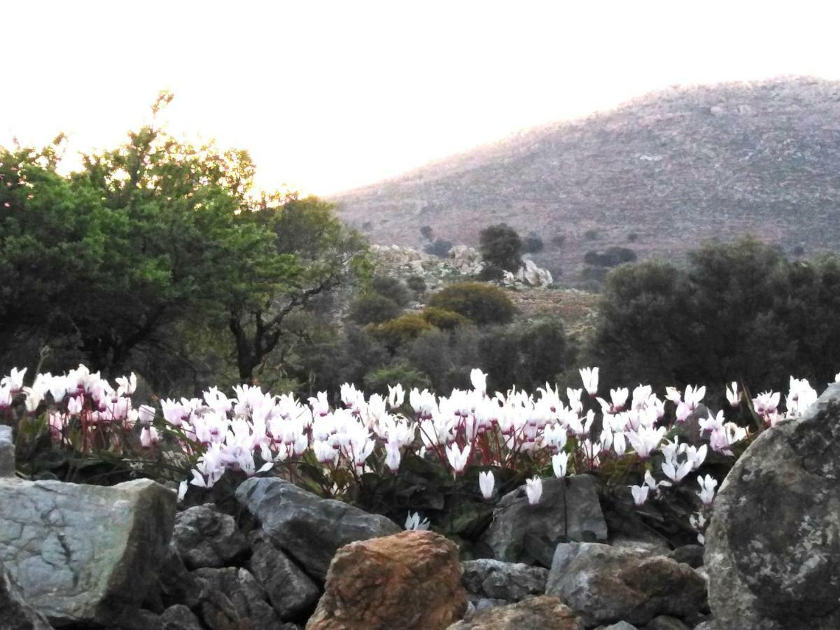 Tilos Island House Megálon Choríon Buitenkant foto