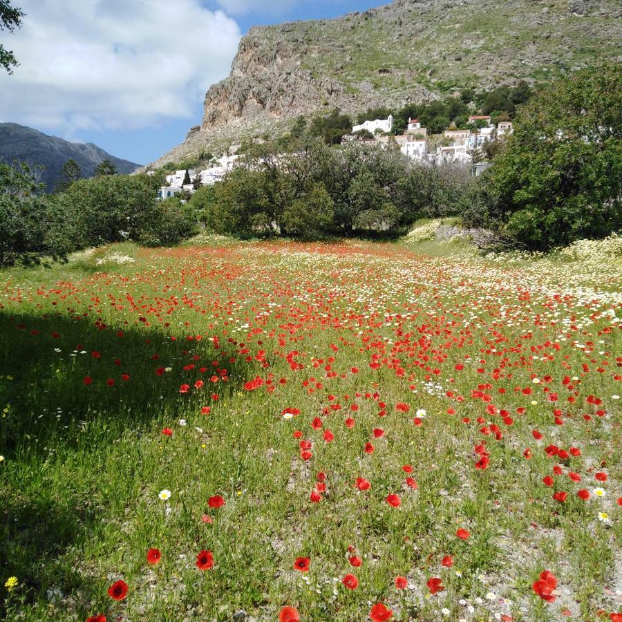Tilos Island House Megálon Choríon Buitenkant foto